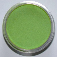 Color Acrylic Dino Green, 2gm
