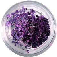 Dried flowers, purple