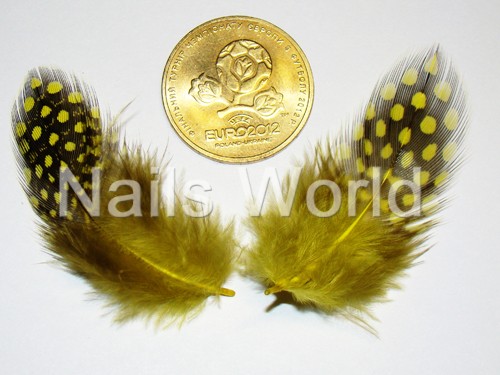 Feathers, yellow