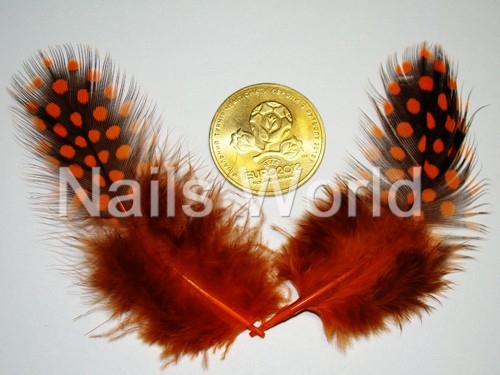 Feathers, dark orange