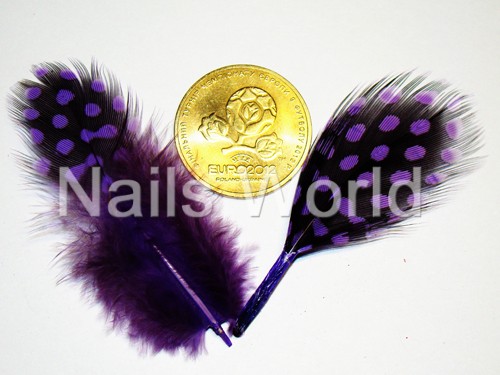 Feathers, purple