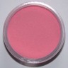 Color Acrylic Spicy Pink, 2gm