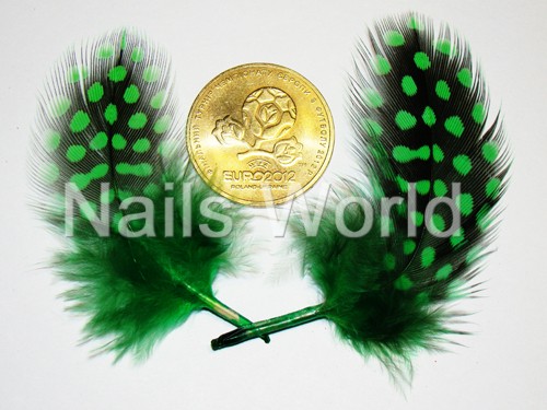 Feathers, green