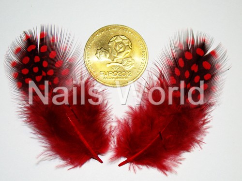 Feathers, red