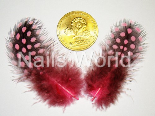 Feathers, pink
