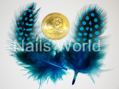 Feathers, blue